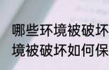 哪些环境被破坏怎样保护环境 哪些环境被破坏如何保护环境