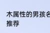 木属性的男孩名字 木属性的男孩名字推荐