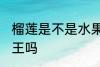 榴莲是不是水果之王啊 榴莲是水果之王吗