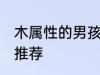 木属性的男孩名字 木属性的男孩名字推荐