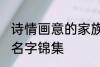 诗情画意的家族名字 诗情画意的家族名字锦集