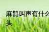 麻鹊叫声有什么兆头 麻雀叫有什么兆头