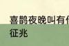 喜鹊夜晚叫有什么兆头 喜鹊夜晚叫的征兆
