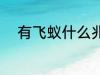 有飞蚁什么兆头 有飞蚁哪种兆头