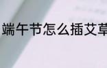 端午节怎么插艾草 端午节插艾草方法
