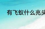 有飞蚁什么兆头 有飞蚁哪种兆头