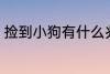 捡到小狗有什么兆头 捡到小狗的兆头