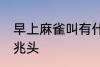 早上麻雀叫有什么兆头 早上麻雀叫的兆头