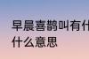 早晨喜鹊叫有什么兆头 早晨喜鹊叫是什么意思