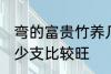 弯的富贵竹养几支最旺运 富贵竹养多少支比较旺