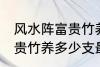 风水阵富贵竹养几支最旺运 风水阵富贵竹养多少支最旺运