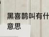 黑喜鹊叫有什么兆头 黑喜鹊叫是什么意思
