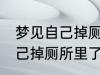 梦见自己掉厕所里了怎么回事 梦见自己掉厕所里了预兆什么