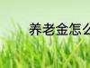 养老金怎么取 养老金如何取