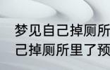 梦见自己掉厕所里了怎么回事 梦见自己掉厕所里了预兆什么