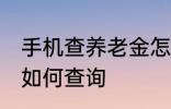 手机查养老金怎么查询 手机查养老金如何查询