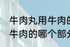 牛肉丸用牛肉的什么部分做 牛肉丸用牛肉的哪个部分做