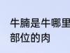 牛腩是牛哪里的肉 牛腩是牛身上哪个部位的肉