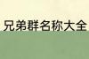 兄弟群名称大全 好听霸道兄弟群名称