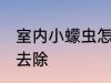 室内小蠓虫怎样去除 室内小蠓虫如何去除