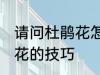 请问杜鹃花怎么养不爱死啊 养殖杜鹃花的技巧
