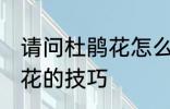 请问杜鹃花怎么养不爱死啊 养殖杜鹃花的技巧
