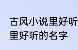 古风小说里好听的名字 优雅好听小说里好听的名字