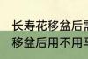长寿花移盆后需要立刻浇水吗 长寿花移盆后用不用马上浇水