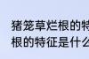 猪笼草烂根的特征是怎样的 猪笼草烂根的特征是什么