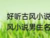 好听古风小说男生名字 韵味十足的古风小说男生名字