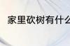 家里砍树有什么禁忌 家里砍树禁忌