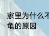 家里为什么不能养乌龟 家里不能养乌龟的原因