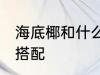海底椰和什么一起煲汤好 海底椰煲汤搭配