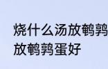 烧什么汤放鹌鹑蛋好一些啊 煮什么汤放鹌鹑蛋好