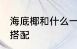 海底椰和什么一起煲汤好 海底椰煲汤搭配