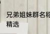 兄弟姐妹群名称大全 兄弟姐妹群名称精选