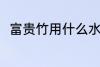 富贵竹用什么水养 富贵竹如何养殖