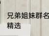 兄弟姐妹群名称大全 兄弟姐妹群名称精选