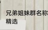 兄弟姐妹群名称大全 兄弟姐妹群名称精选
