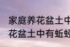 家庭养花盆土中有蚯蚓怎么办 家庭养花盆土中有蚯蚓的解决方法