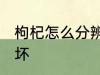 枸杞怎么分辨好坏 怎么分辨枸杞的好坏