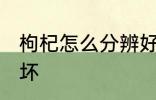 枸杞怎么分辨好坏 怎么分辨枸杞的好坏