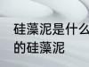 硅藻泥是什么材料做的 哪种材质制作的硅藻泥