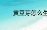 黄豆芽怎么生 黄豆芽如何生