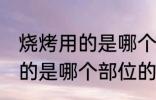 烧烤用的是哪个部位的肉 一般烧烤用的是哪个部位的肉