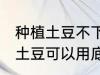 种植土豆不下底肥用沟施可以么 种植土豆可以用底肥吗