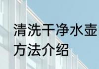 清洗干净水壶的方法 清洗干净水壶的方法介绍