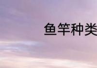 鱼竿种类 关于鱼竿种类