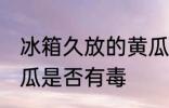 冰箱久放的黄瓜有毒吗 冰箱久放的黄瓜是否有毒