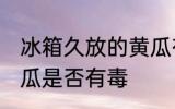 冰箱久放的黄瓜有毒吗 冰箱久放的黄瓜是否有毒
